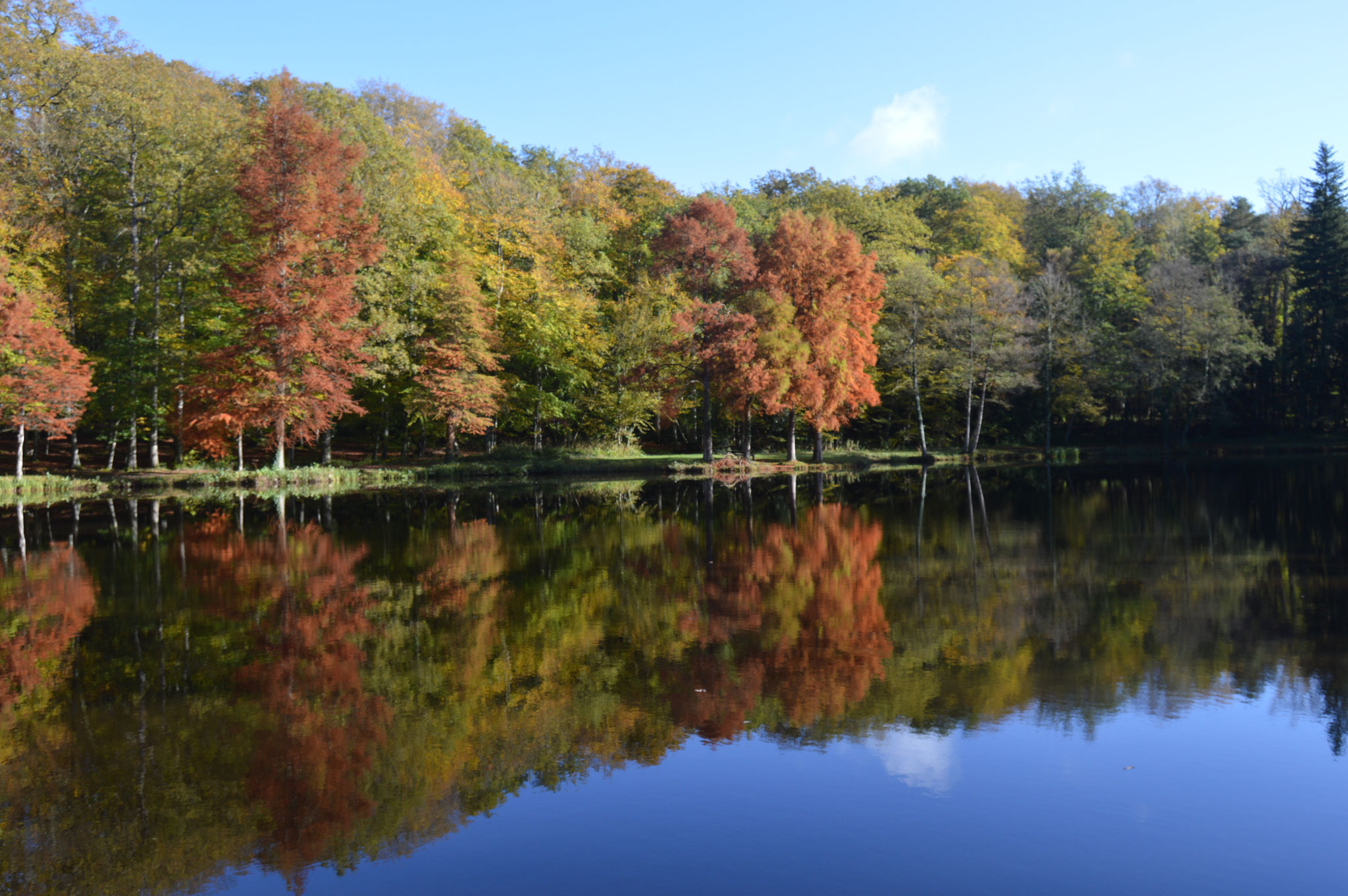 etang d ela herse.jpg